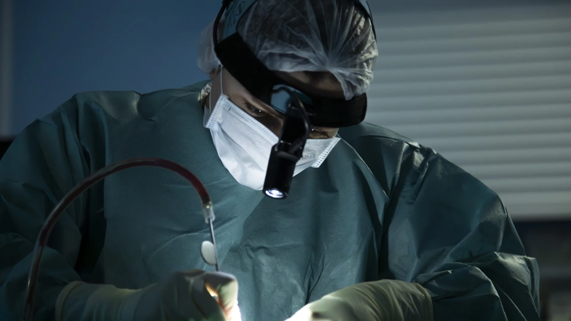 Полипотомия