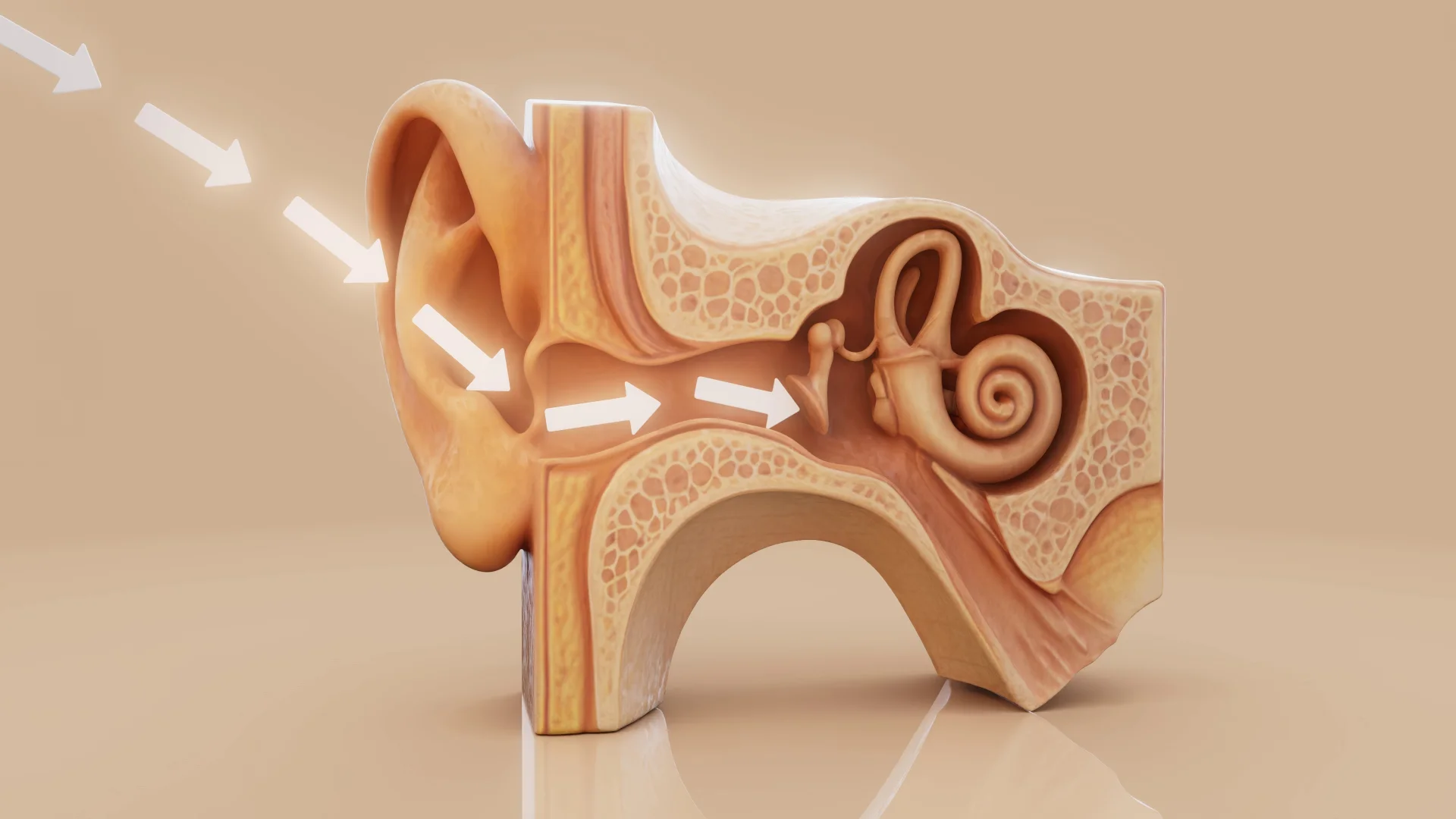 Диагностика отита: отоскопия